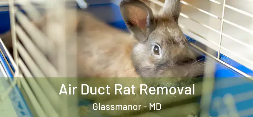  Air Duct Rat Removal Glassmanor - MD