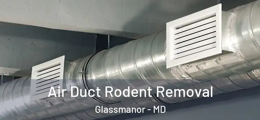  Air Duct Rodent Removal Glassmanor - MD
