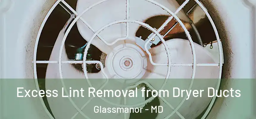  Excess Lint Removal from Dryer Ducts Glassmanor - MD