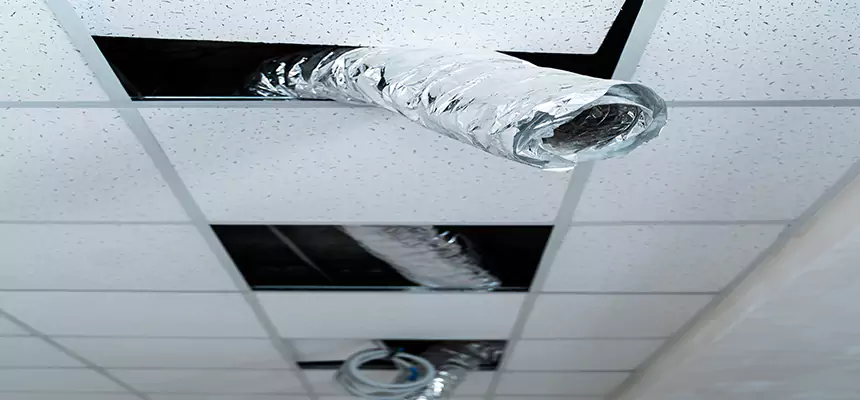 Our Air Duct Pet Hair Removal Services in Glassmanor, MD