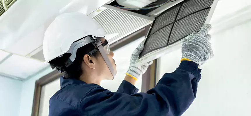 Our Mold & Mildew Removal from Air Ducts Services in Glassmanor, MD