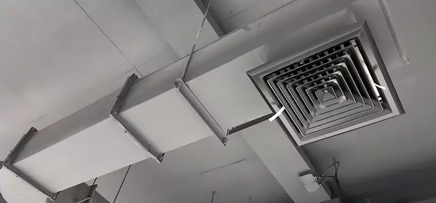 Our Pest Removal From Ducts Services in Glassmanor, MD