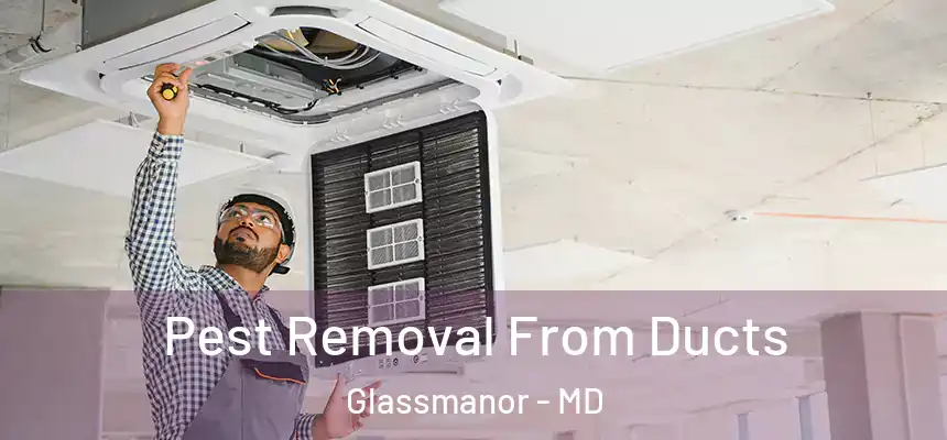  Pest Removal From Ducts Glassmanor - MD