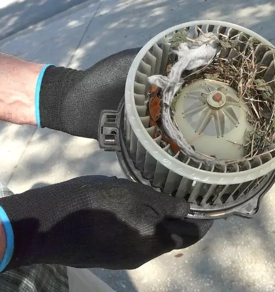 About Air Duct Rat Removal in Glassmanor, MD