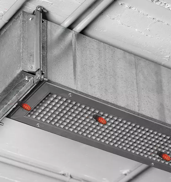 Affordable Insect Removal from Air Ducts in Glassmanor, MD