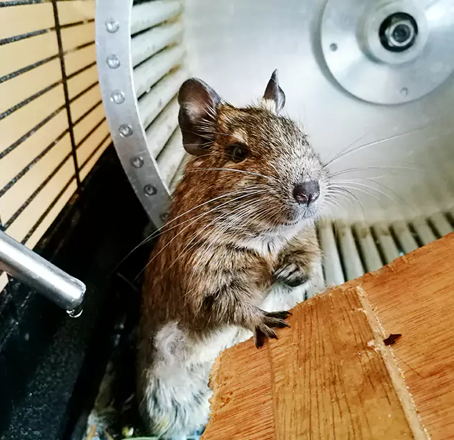 Why Homeowners & Businesses Trust Us Glassmanor, MD