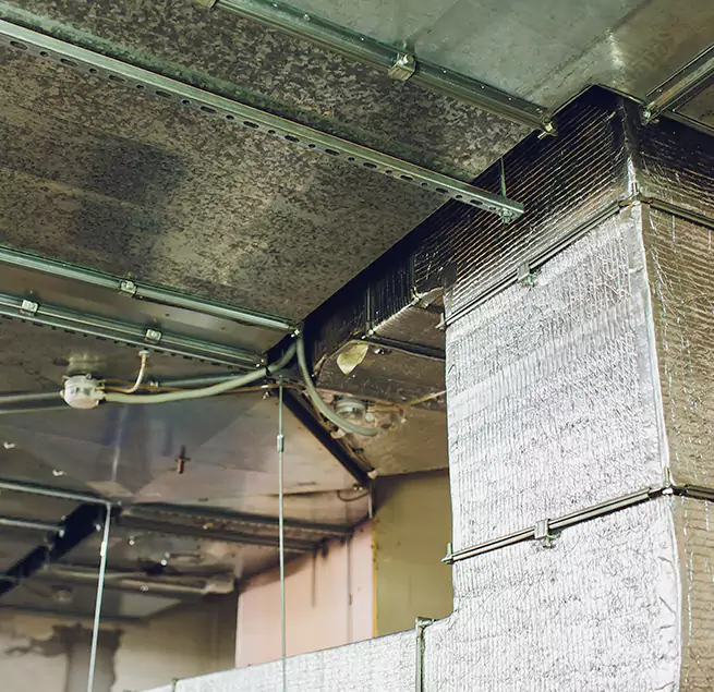 Why Homeowners & Businesses Trust Us in Glassmanor, MD?